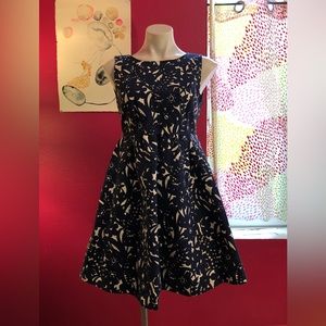 NWOT ZARA BASIC Sleeveless Fit & Flare Dress Navy & White Floral Size M